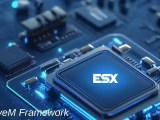 Esx Framework
