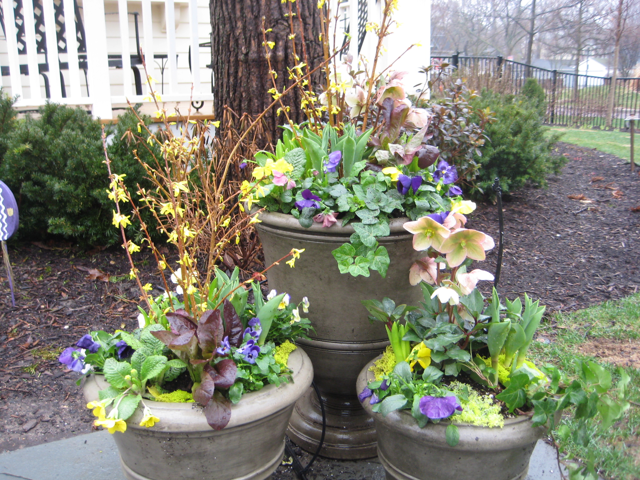 "Best containers ever." Gina C