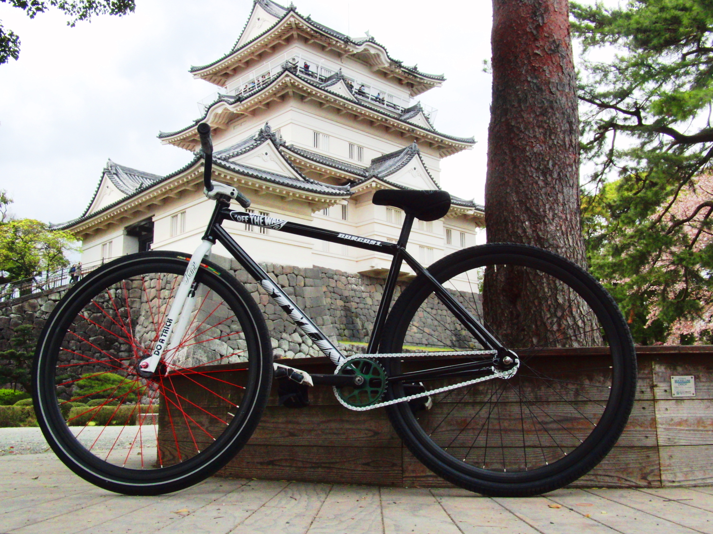 Teppei✨ Teppei Iwabuchi – FIXED GEAR ARCHIVE