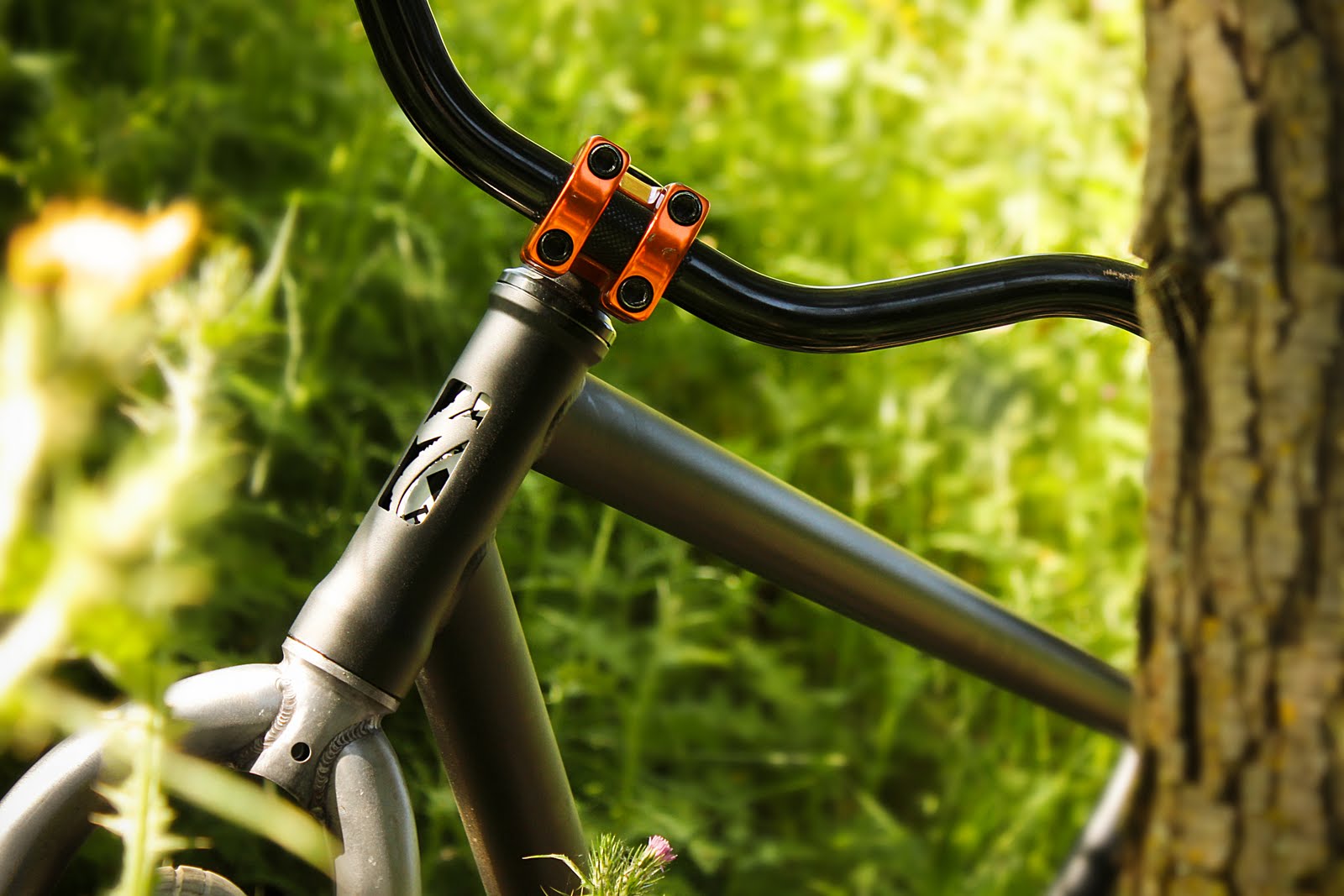 スペシャライズド　p-fix トリックピスト Specialized P-Fix vs SE Bikes Primetime | ブローチャーズ