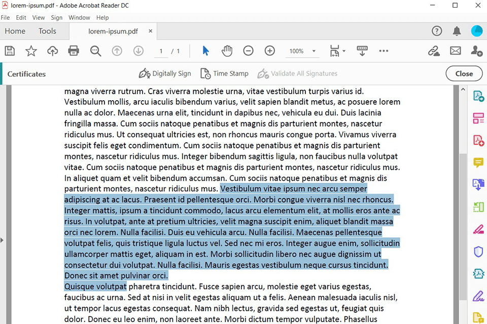 Best Ways To Use Adobe Reader For Chromebook