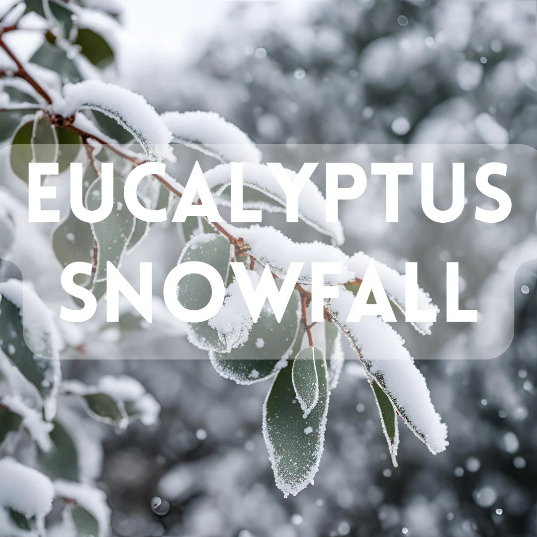 Eucalyptus Snowfall Diffuserblends Com - Download Gorgeous City Picture | High Resolution