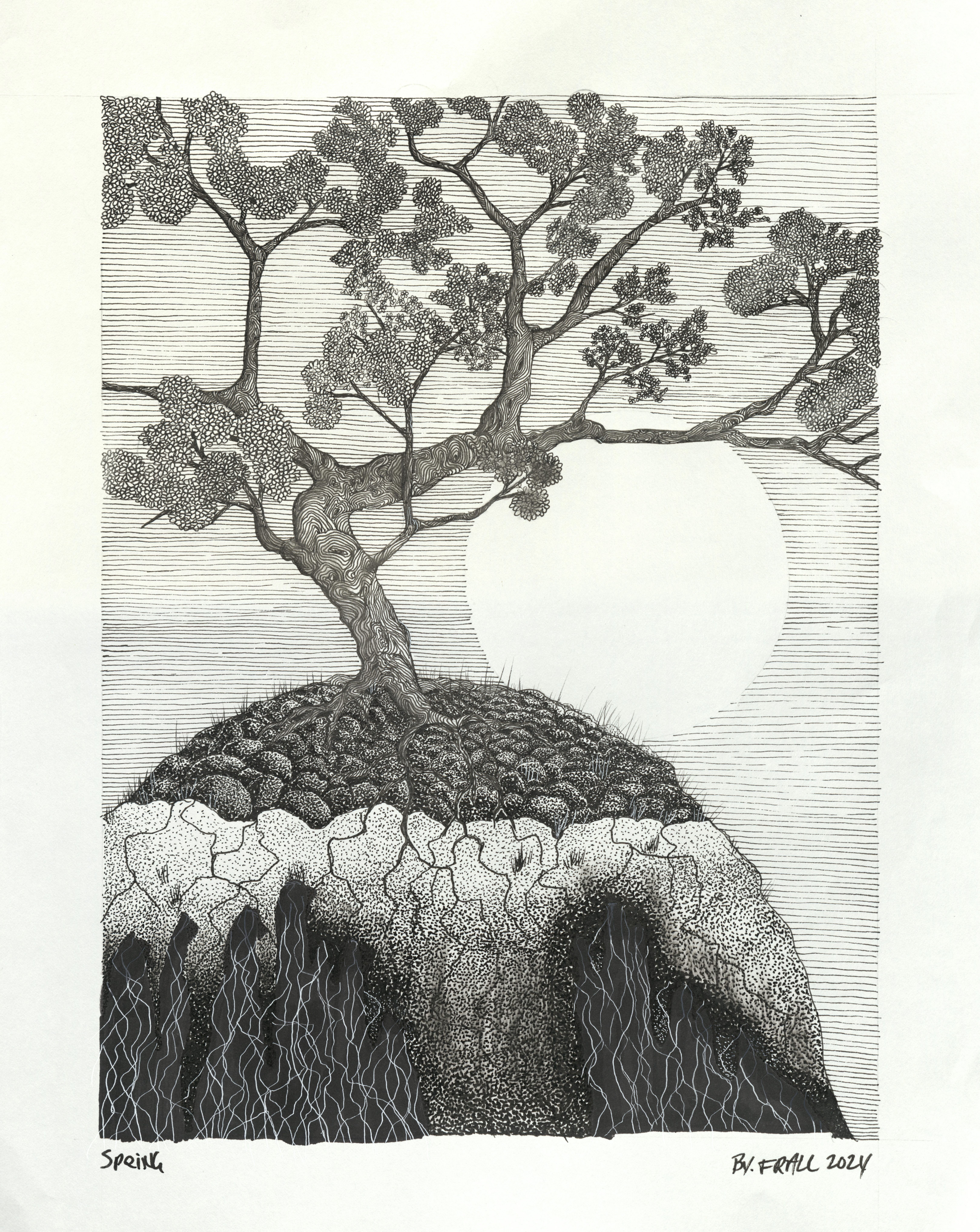 Main gallery FJRall ink art by Felicia J Rall