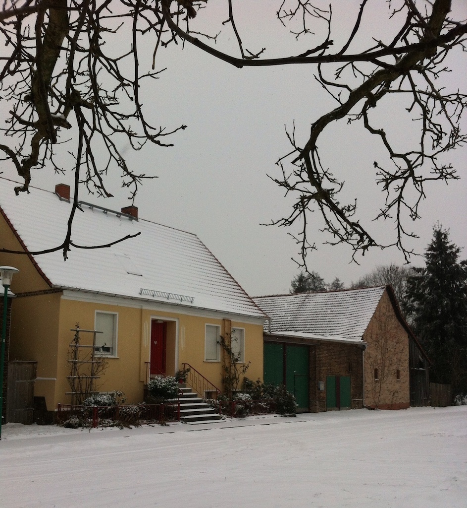 Fredo_Winter-1