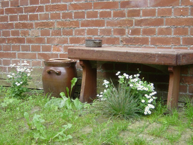 Idylle vor dem Stall