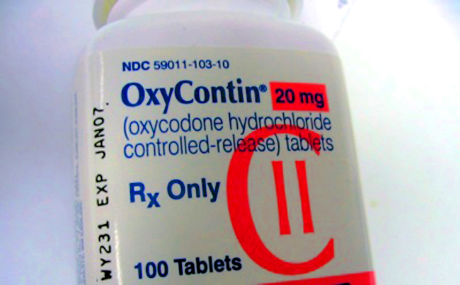 Oxycontin Oxycontin pill mills regulation florida flaglerlive