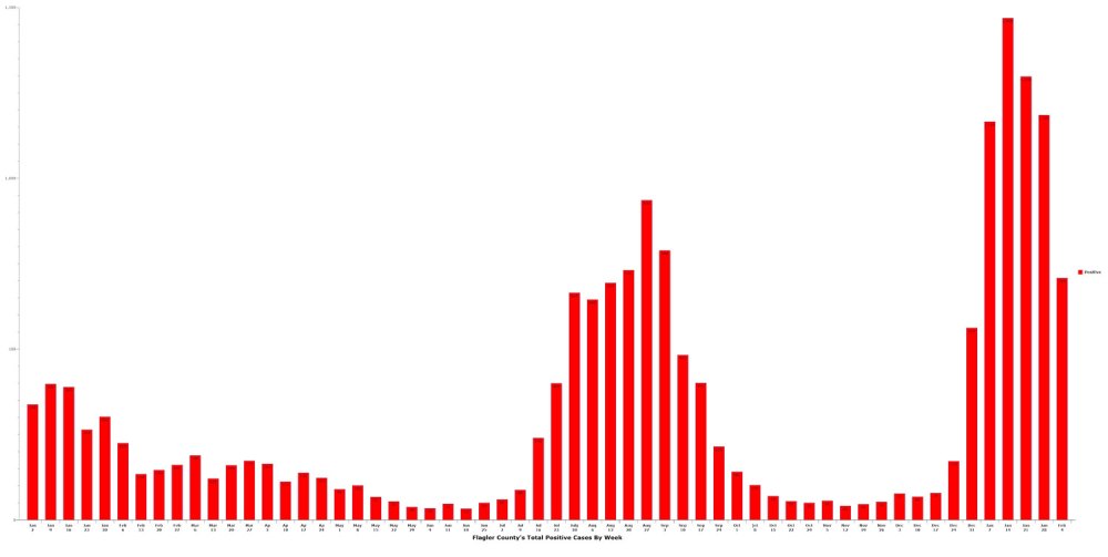 Flagler' s cases since January 2021. Click on the graph for larger view. (© FlaglerLive)