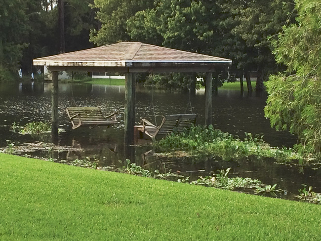 A back yard on Burbank with frontage on Bird of Paradise Lake.