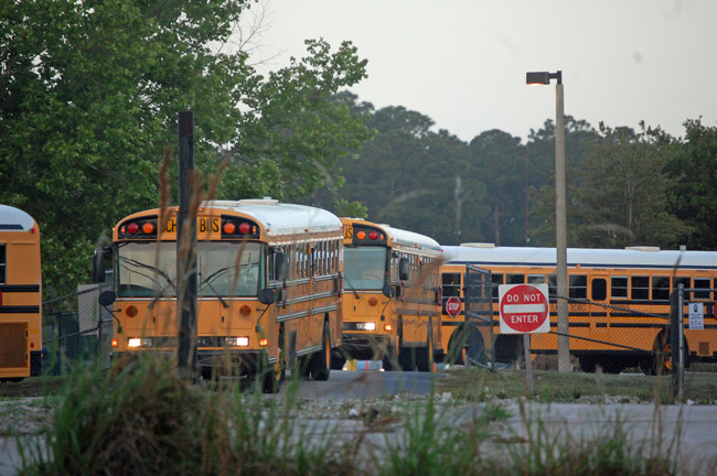 buses