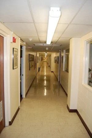 circulation