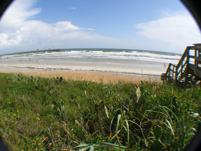 flagler-beach