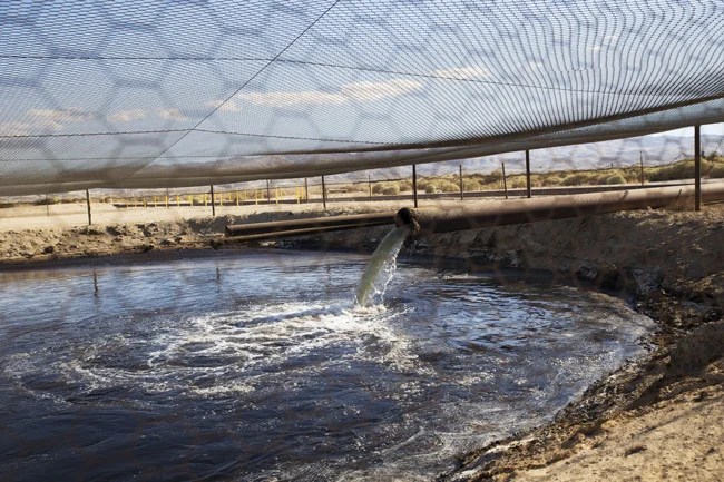 fracking florida