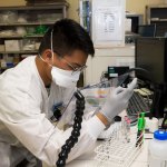 Air Force Airman 1st Class Michael San Jose, 60th Medical Diagnostics and Therapeutics Squadron lab technician, performs antibody titration at the David Grant USAF Medical Center laboratory at Travis Air Force Base, Calif. (James Hodgman)