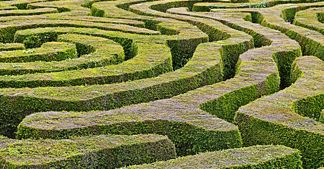Florida's ethics maze (detail). (SanguineSea)