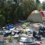 A segment of the path behind the library today. The clean-up begins Monday. (© FlaglerLive)