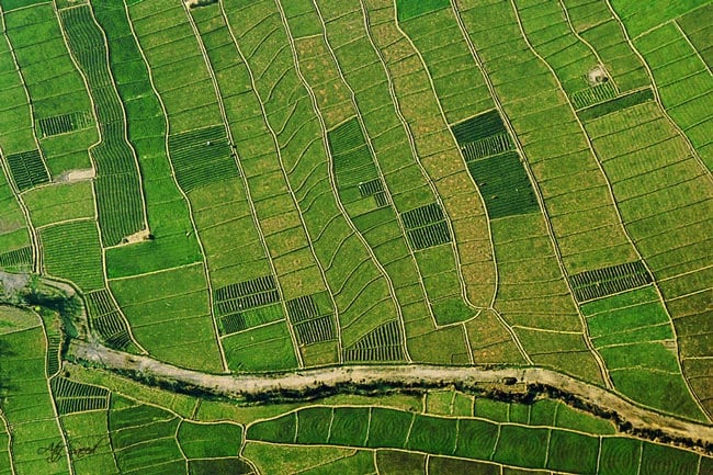 patterns