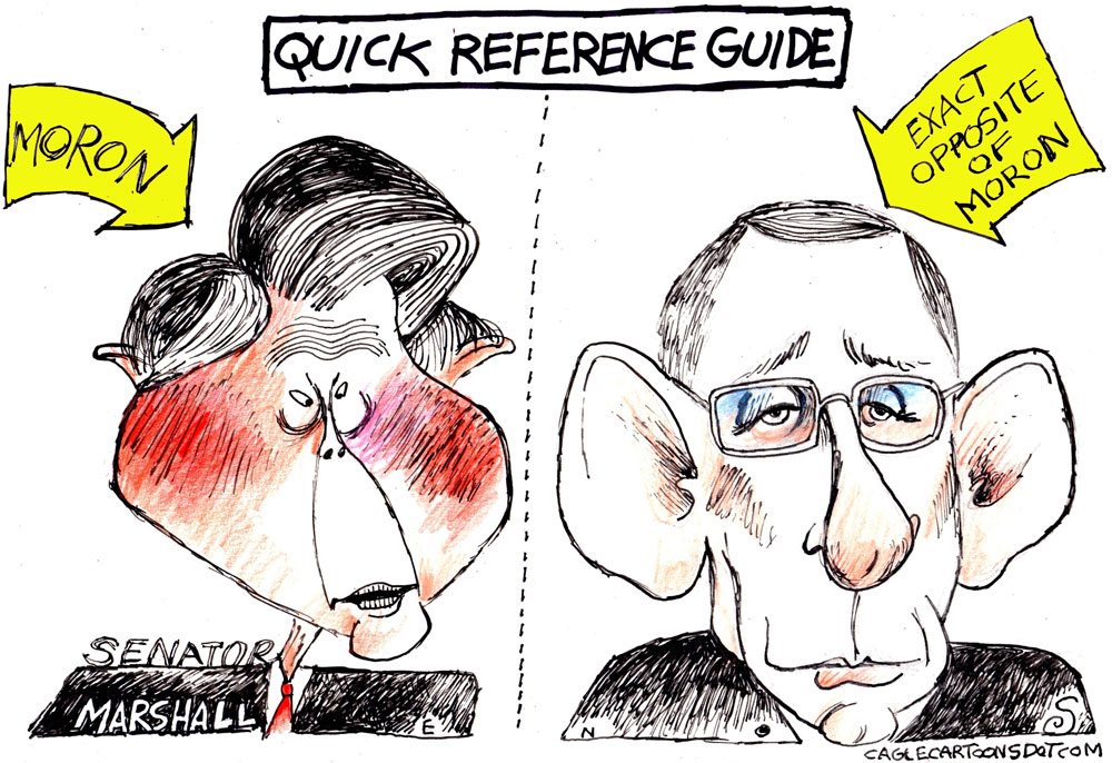 Fauci Under Fire by Randall Enos, Easton, Conn.