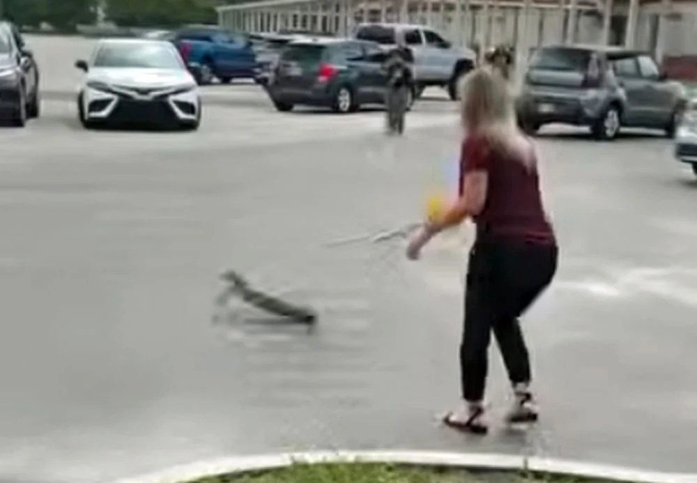 Abra Seay alligator rymfire elementary