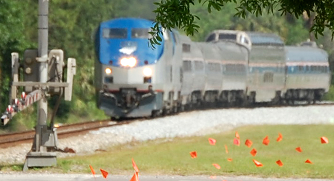 Amtrak in Bunnell Amtrak Train in Bunnell