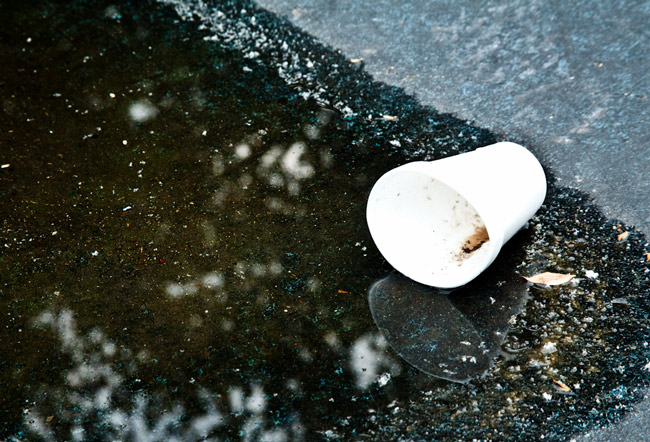 styrofoam-pollution styrofoam pollution