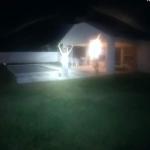 Sheriff's deputies arrested a 19-year-old an in palm Coast's E-Section after the man had gone on a rampage at his home, then banged with a shovel on the glass door at another home. (© FlaglerLive via bodycam video)
