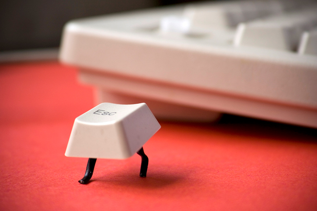 virtual-school-florida virtual school florida legislature