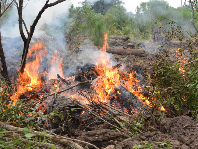 wildfires1