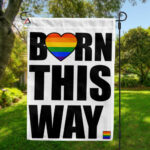 Born This Way Flag, Gay LGBT Trans Pride Flag, Love Wins Home Decoration