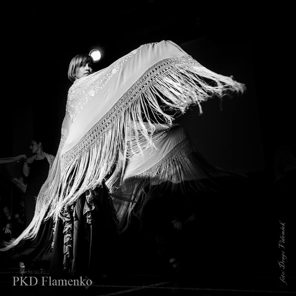 PRODUKCIJA OB 10-LETNICI PKD FLAMENKO, Foto: Drago Videmšek