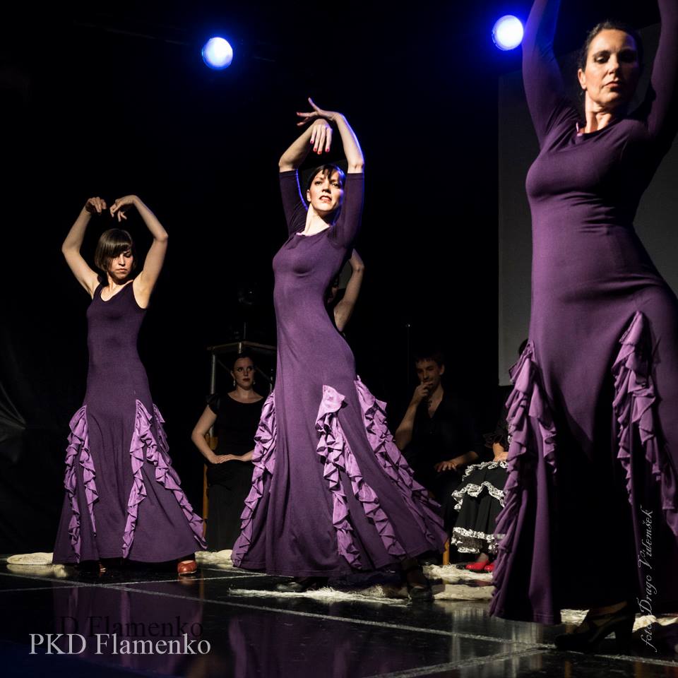 PRODUKCIJA OB 10-LETNICI PKD FLAMENKO, Foto: Drago Videmšek