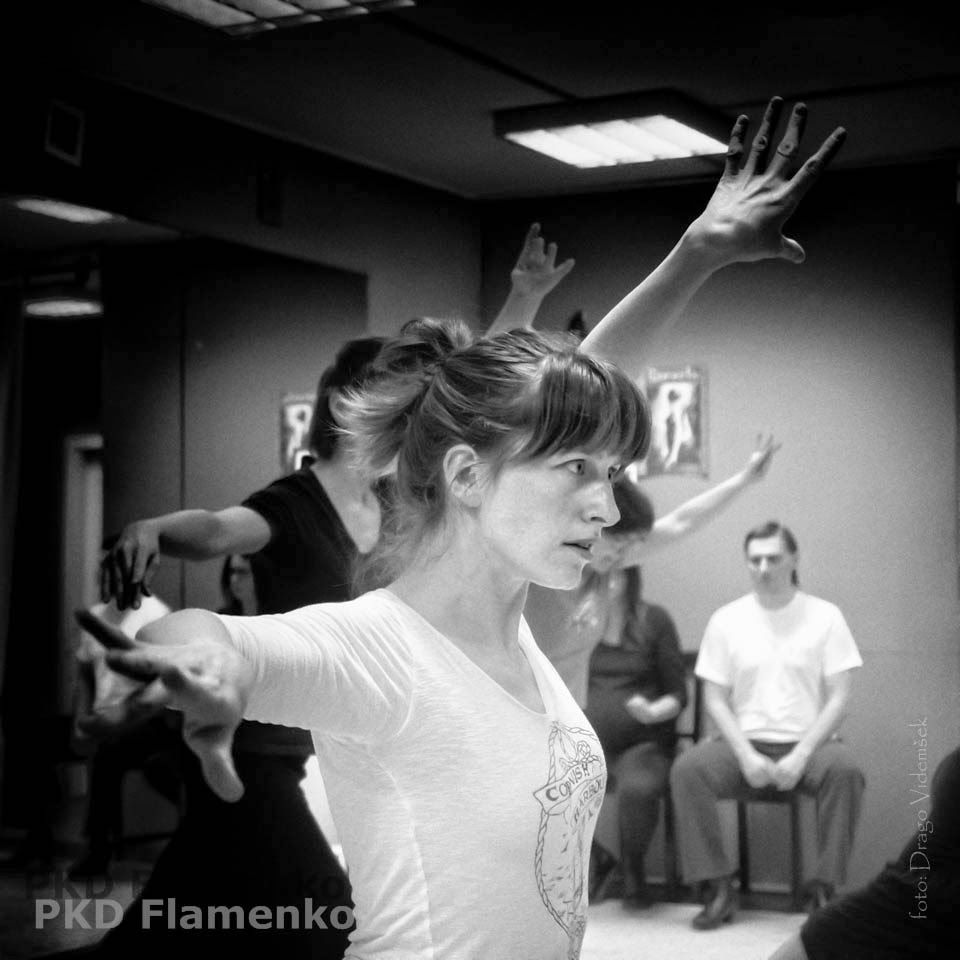 FOTO: Drago Videmšek