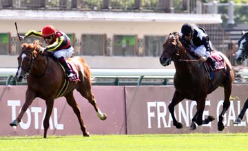 20120916_Orfevre