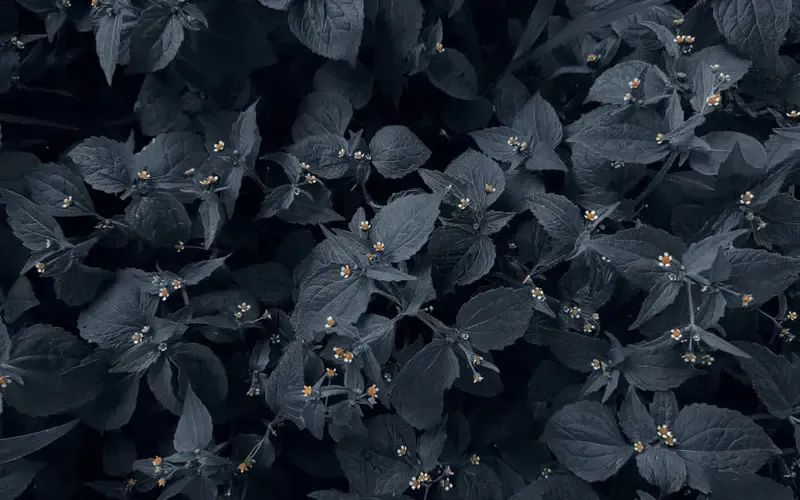 How To Write Bash Scripts In Javascript Flaming Codes - Sunset Textures - Ultra HD Retina Collection