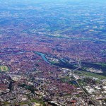 Où vivent les charançons ?