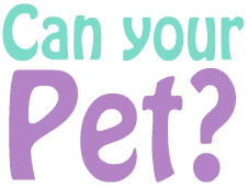 Can Your Pet Play Online On Flash Museum Can Your Pet Logo 