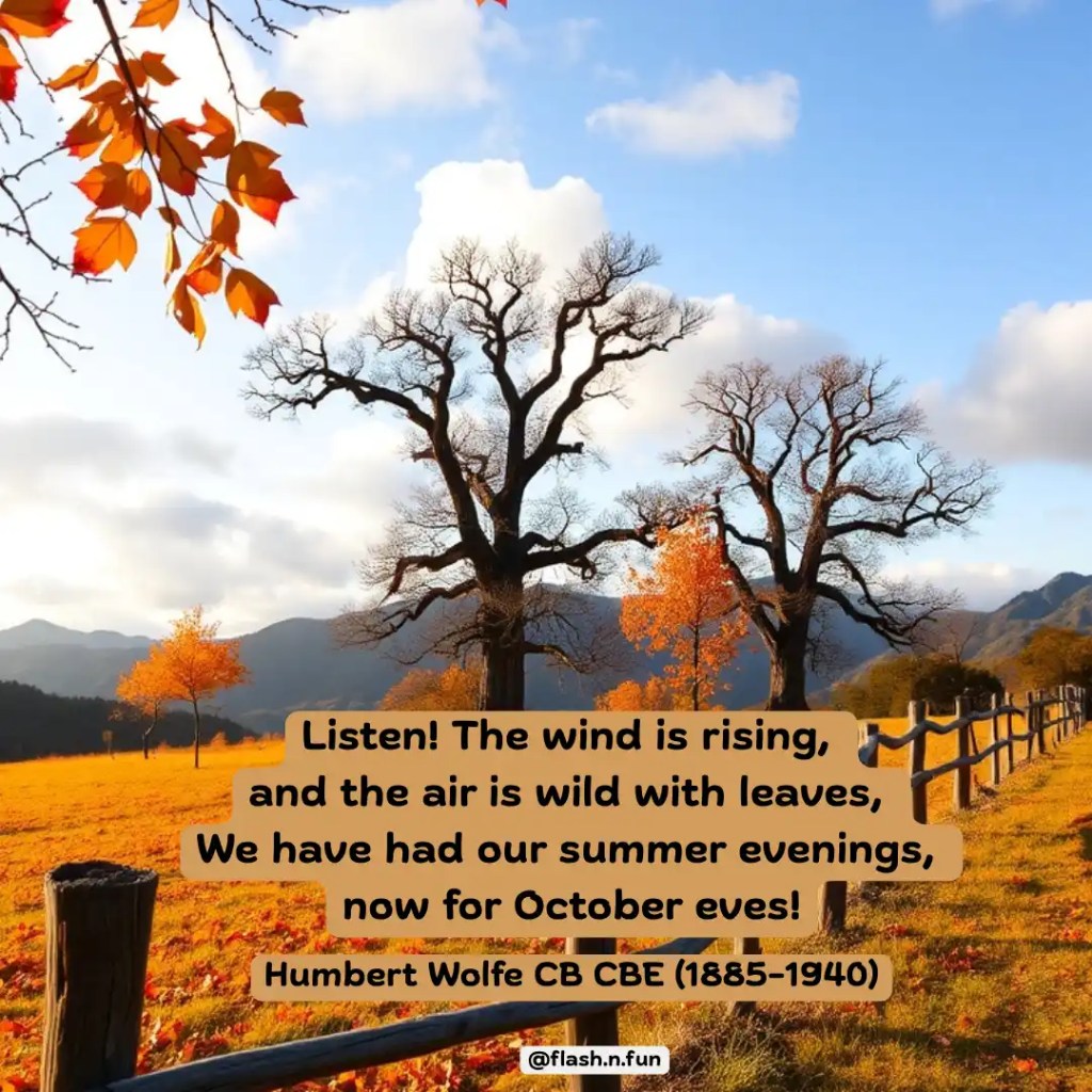 This image blends poetic nostalgia with autumn’s visual splendor, echoing Humbert Wolfe’s verse to celebrate seasonal transition, rural serenity, and the quiet magic of October.#autumnlandscape, #octoberevenings, #fallfoliageusa, #seasonalpoetry, #humbertwolfe, #goldenfields, #americanfall, #naturequote, #flashnfun, #poeticseason, #treesandsky, #tranquilview, #seasonchange, #leafpath, #blueandgold