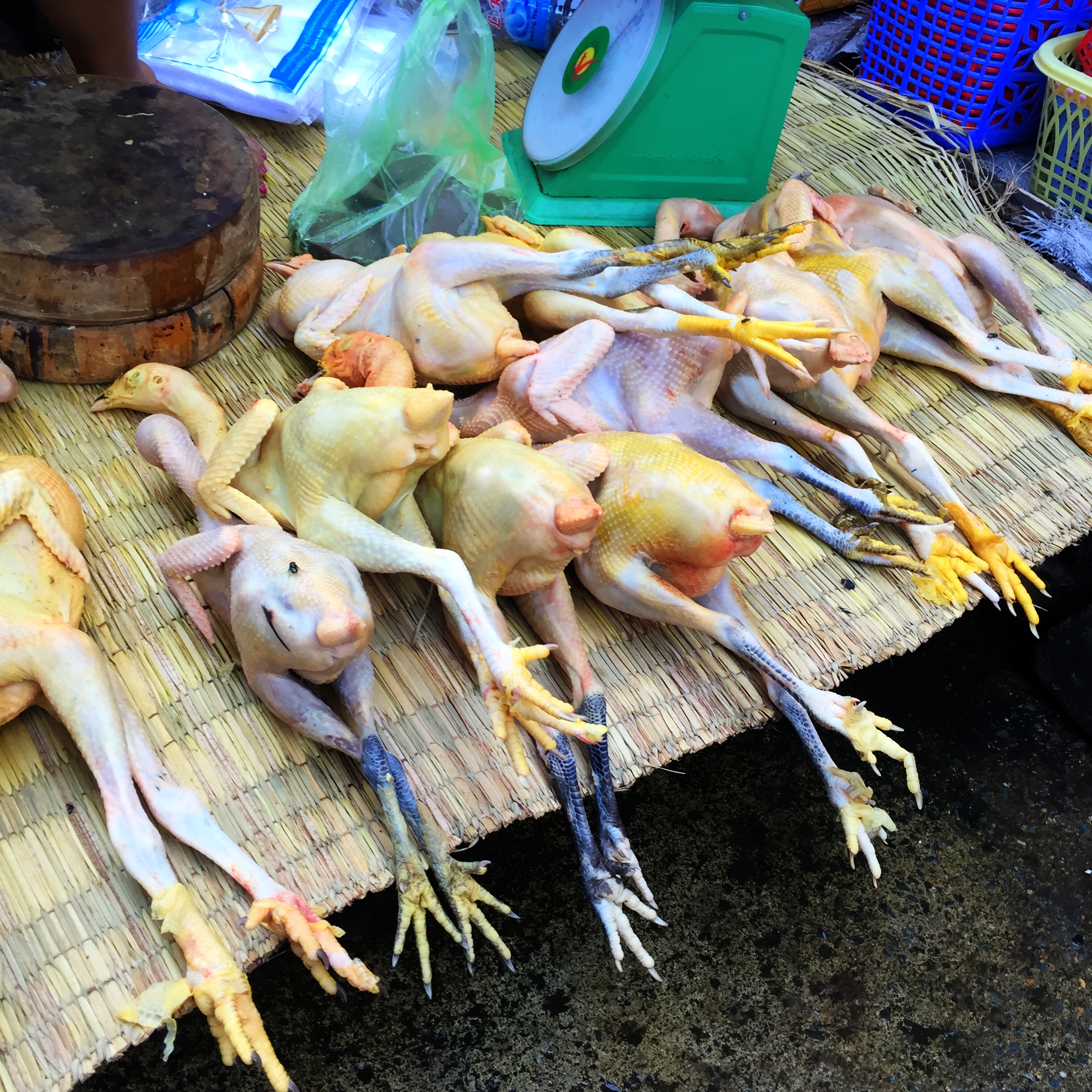 Chicken - Market in Phnom Penh