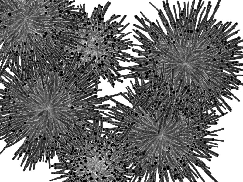 Electronmicroscope2148 Flashy Programming - Professional Desktop Abstract Textures | Free Download