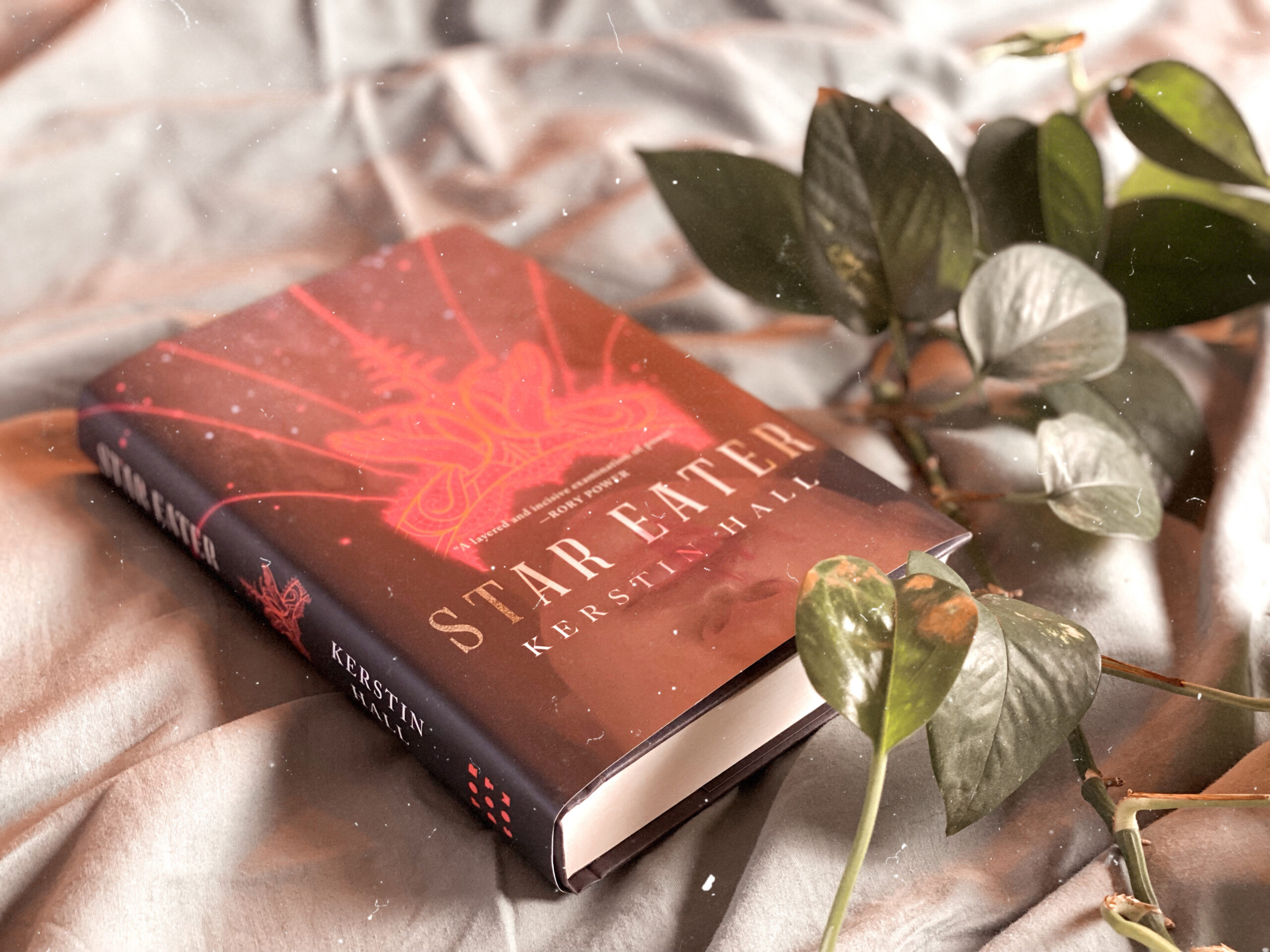 A photograph of Star Eater by Kerstin Hall laying on a bed alongside a vine plant