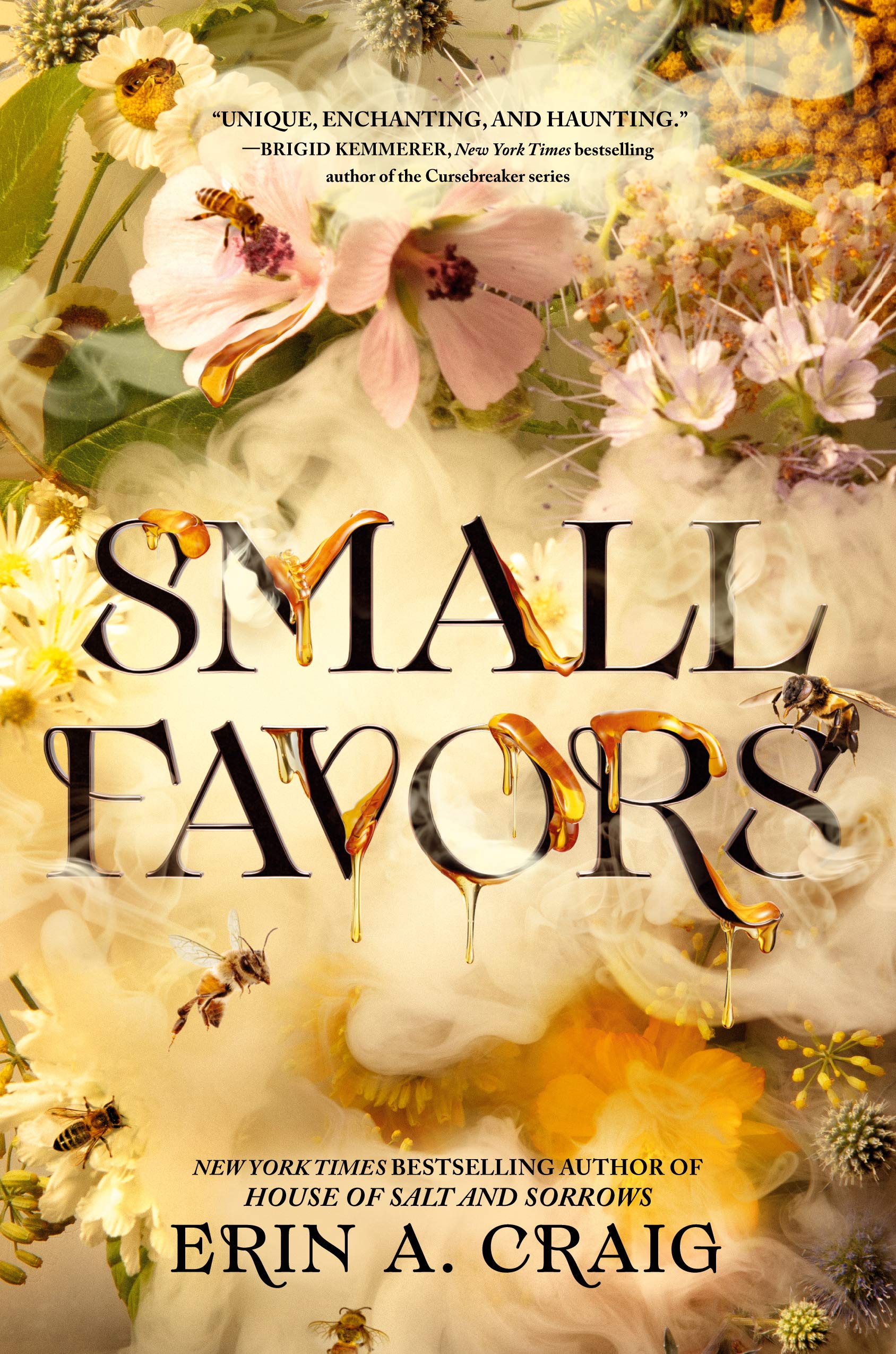 The cover of the book Small Favors by Erin A. Craig