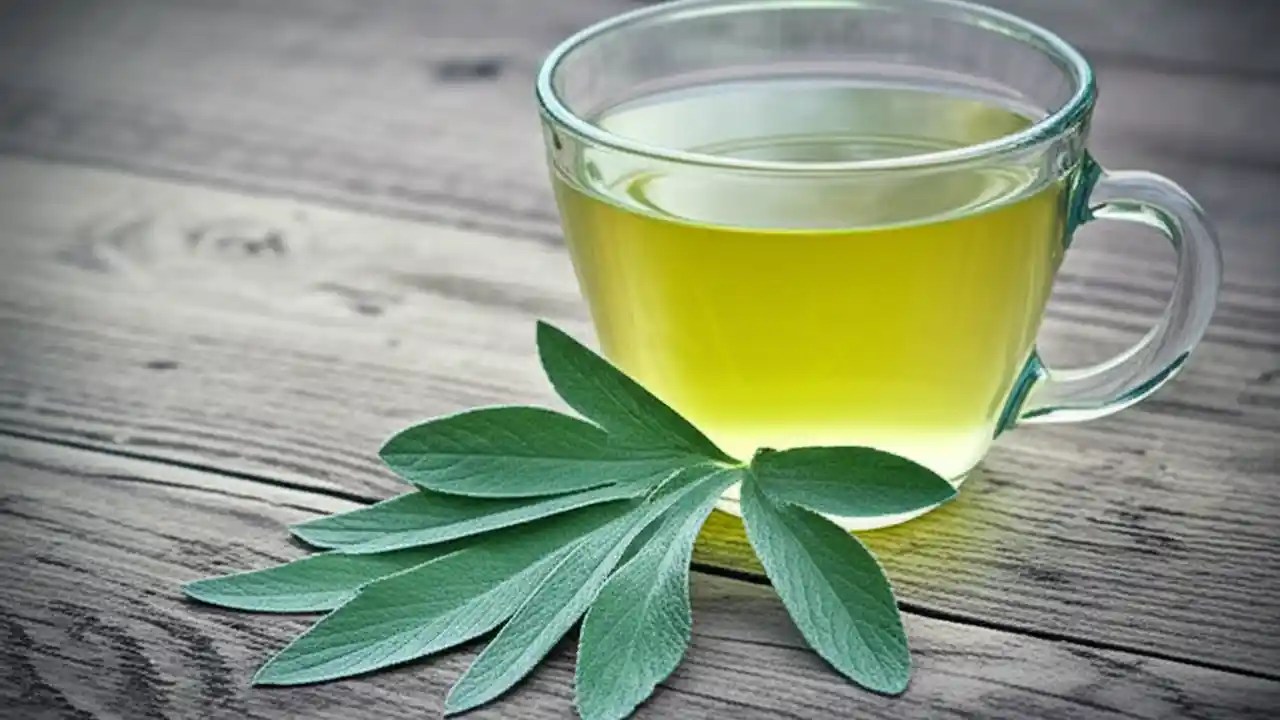 A sprig of fresh wormwood next to a cup of wormwood tea, illustrating the topic of safe wormwood dosage.