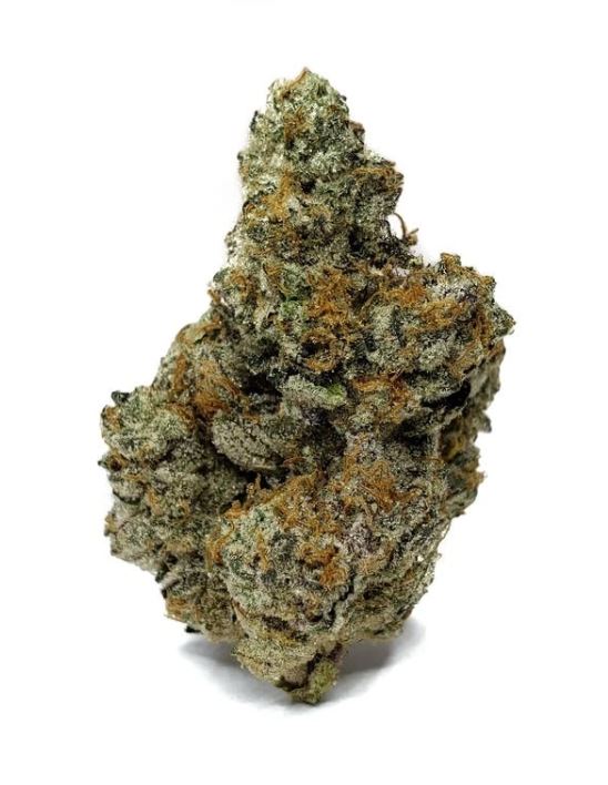 gelato cake strain have a bite flavor fix on ice cream wedding cake strain
