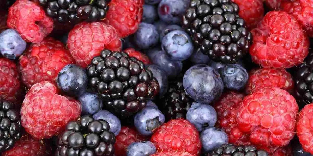 fresh berries