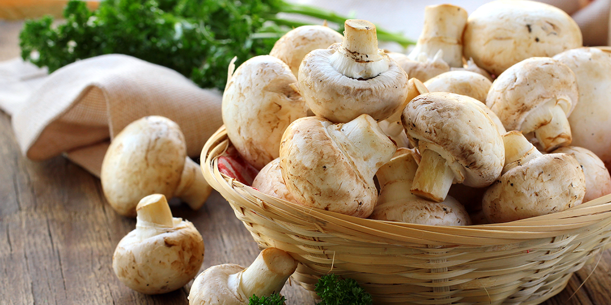 mushrooms