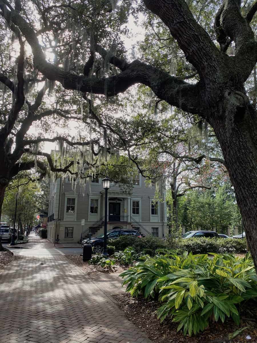 Savannah Square