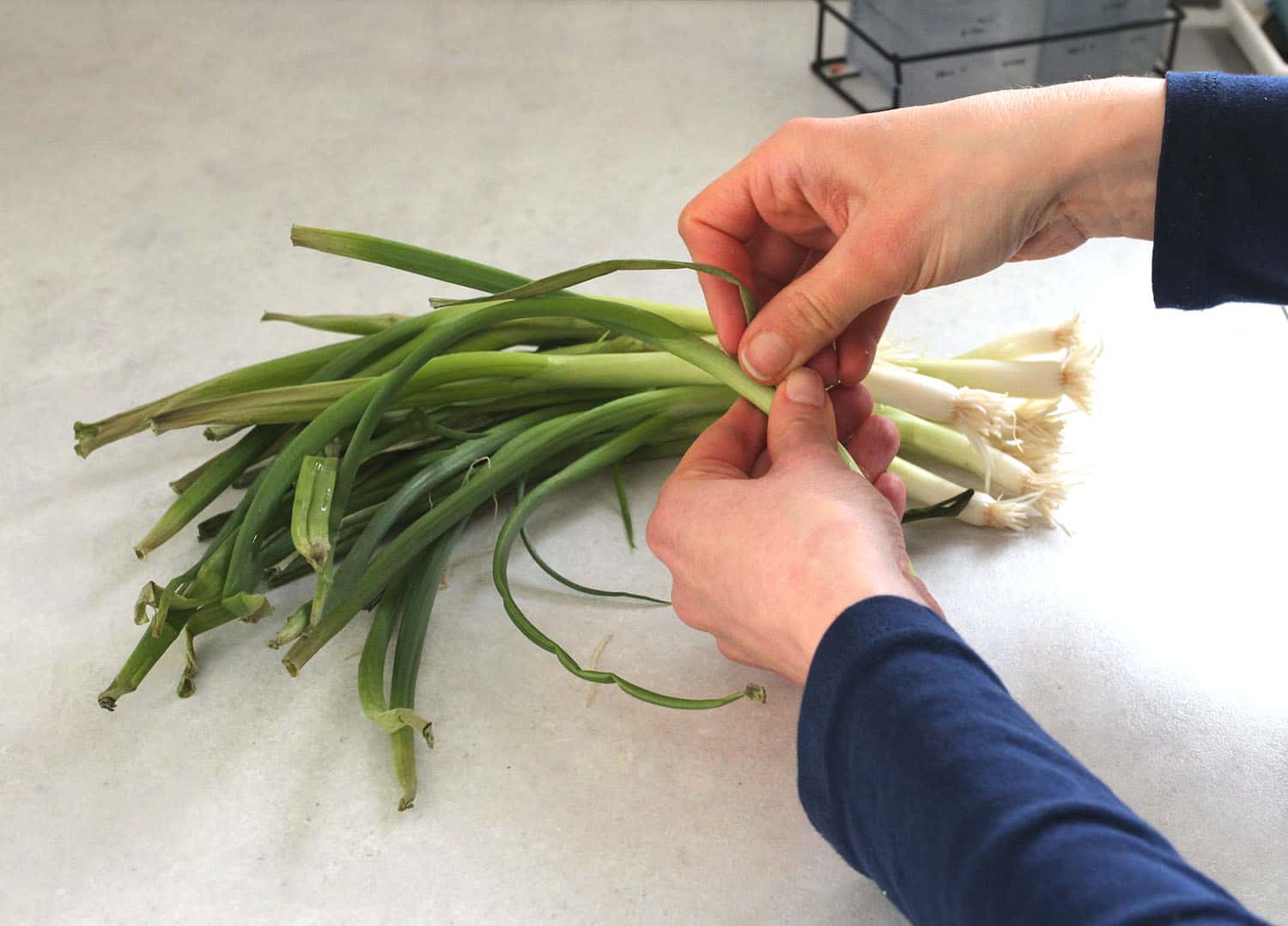 Clean Onions Maximize Fresh Produce | Help for Green Onions - Flawed yet Functional