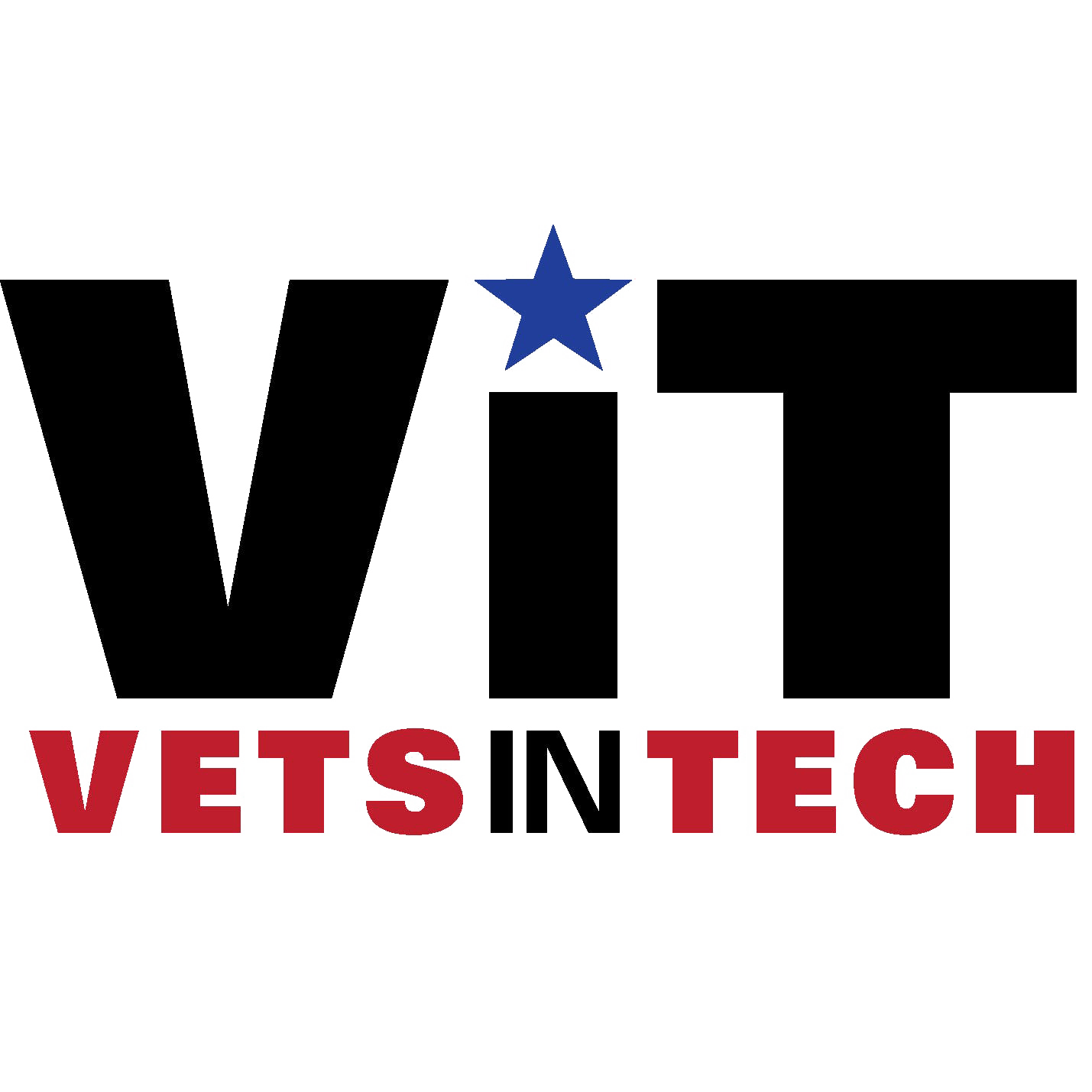 Vets in Tech