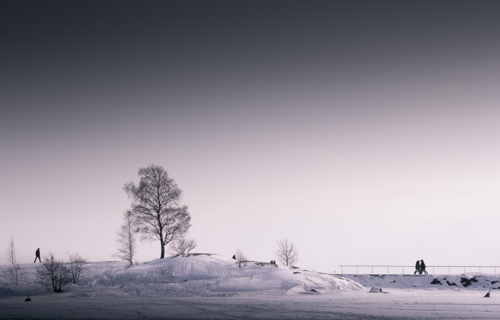 Snowy Scene