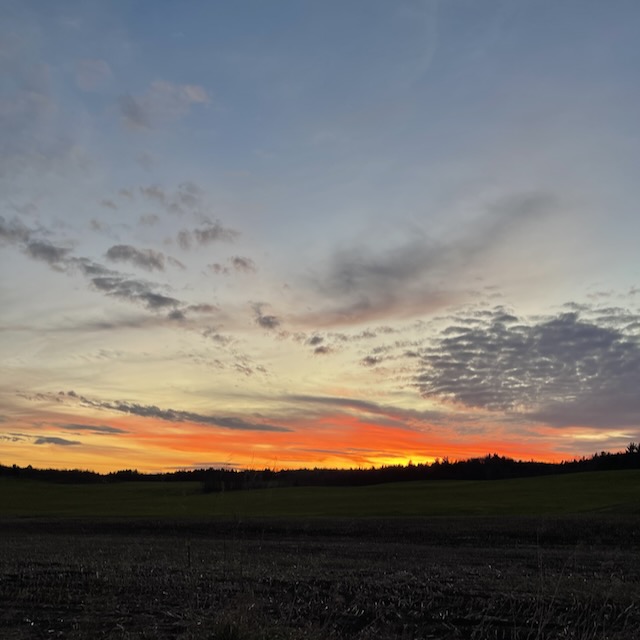 A wide-open landscape at sunset, with streaks of orange and gold illuminating the sky—capturing a moment of stillness, beauty, and presence.