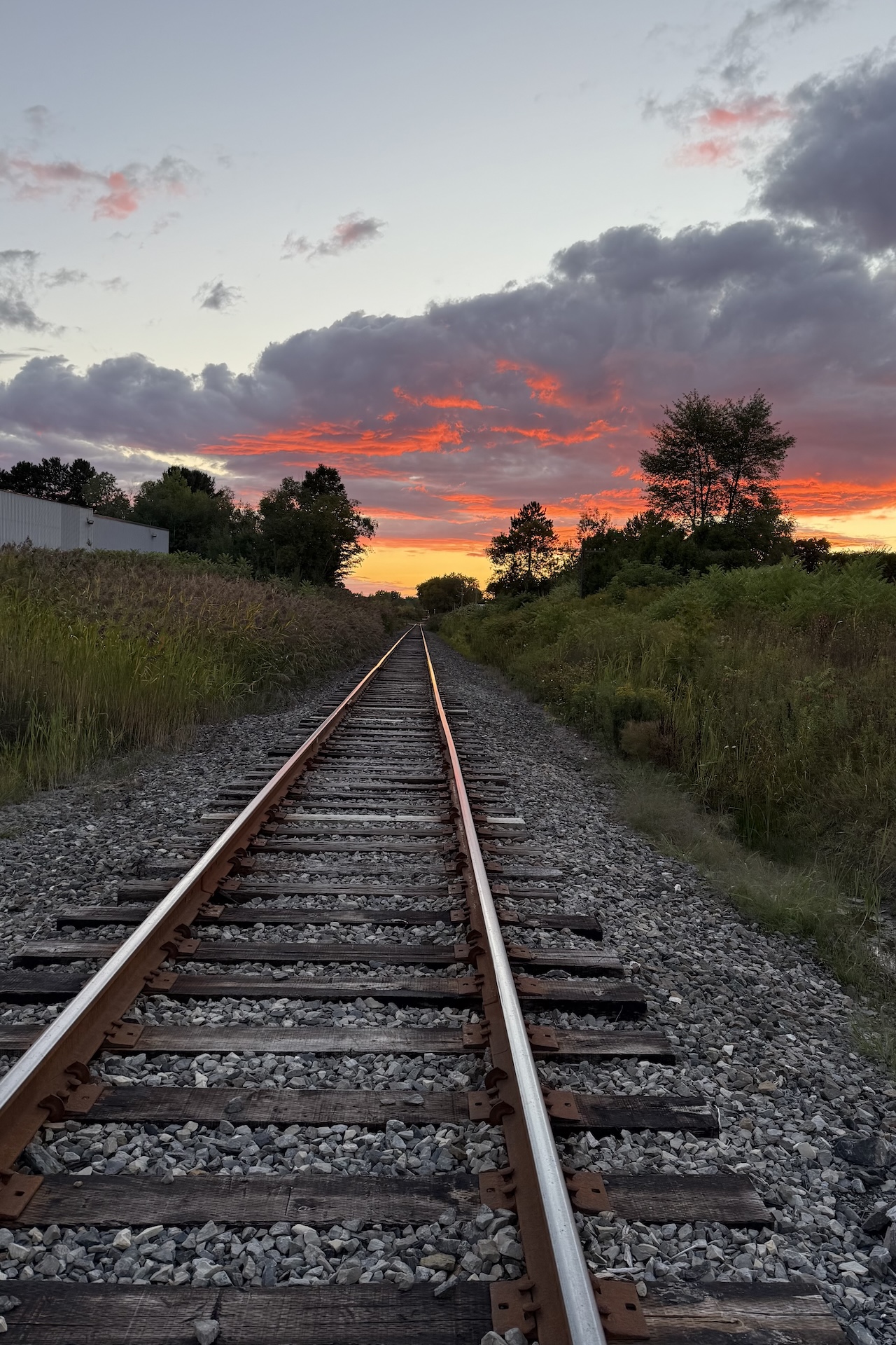 Railway tracks bordered by grasses and trees beneath a vivid orange and pink sunset.